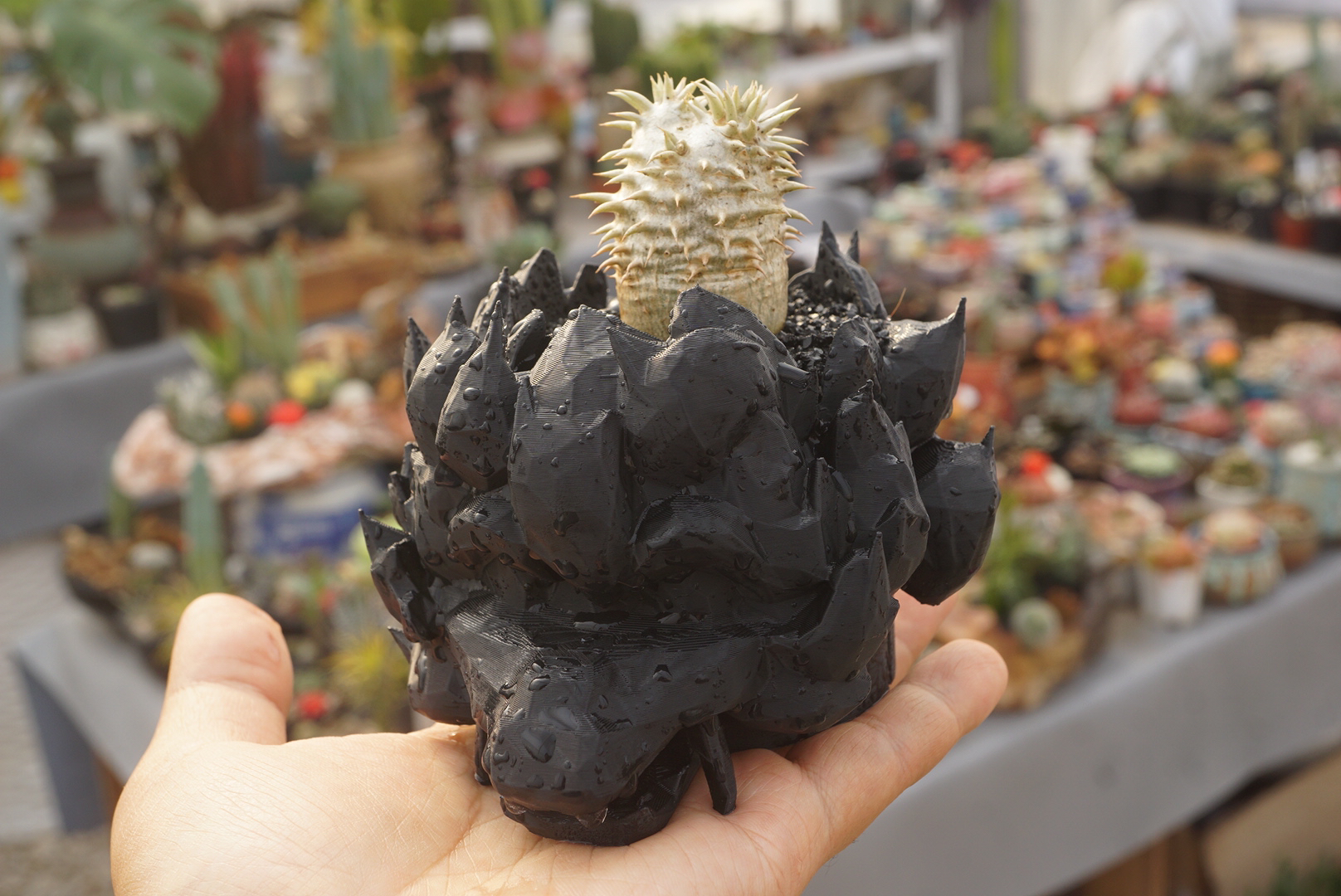 3d打印花盆不含植物