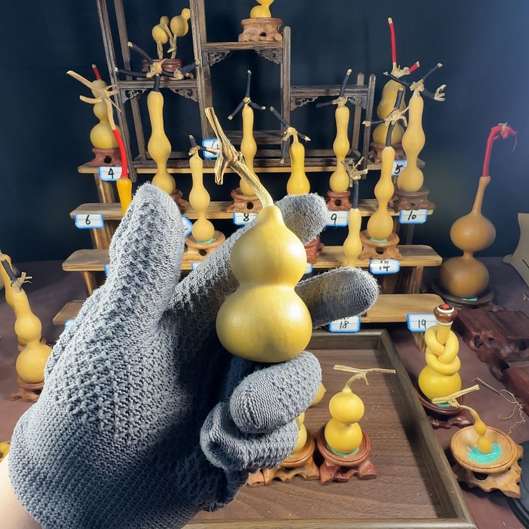 沉***金1111222111111111111