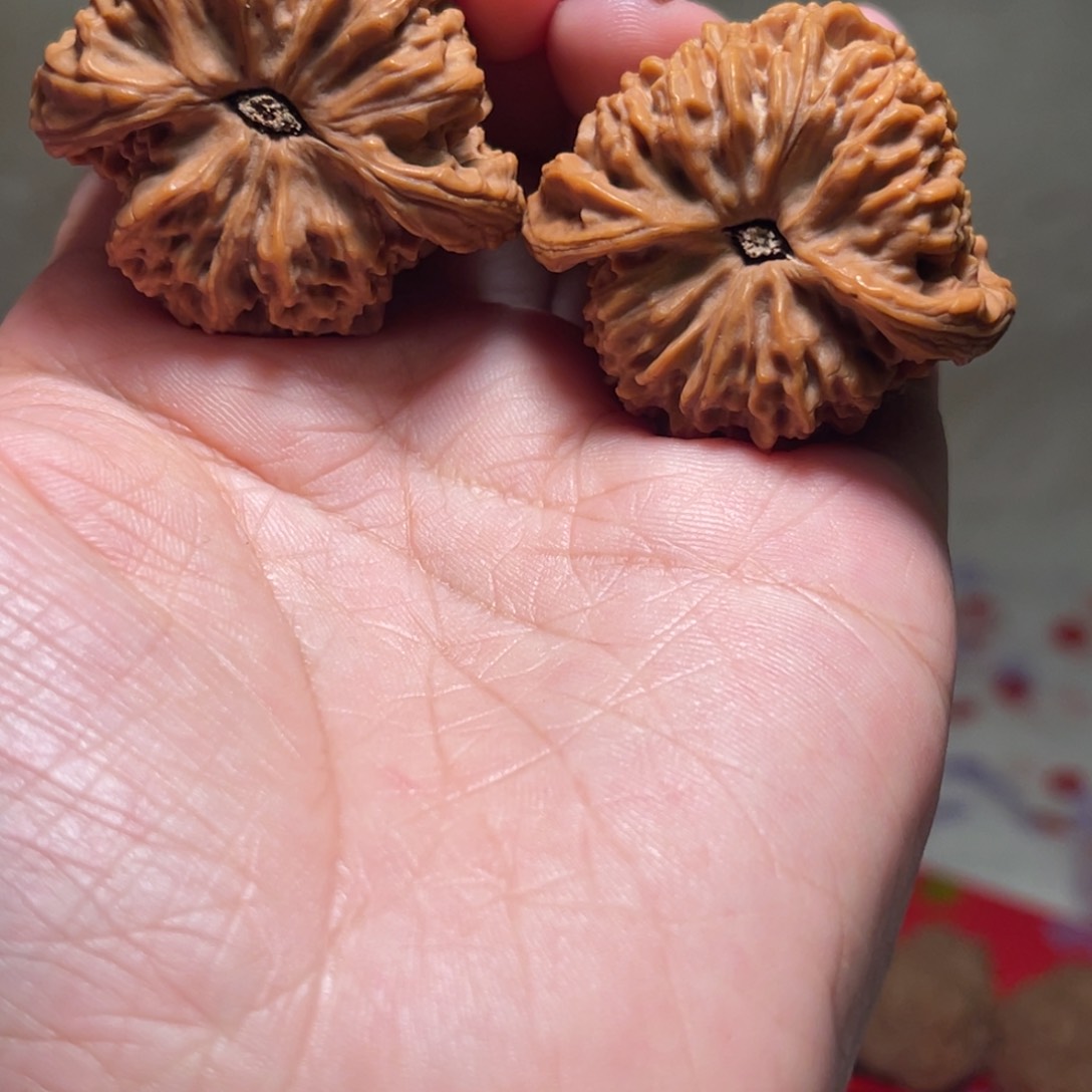 文玩核桃把件稀*猫南疆