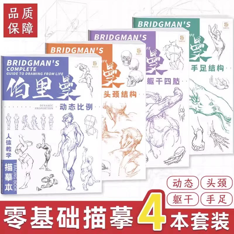 【直播专享价】伯里曼人体结构系列 绘画教程描摹本116