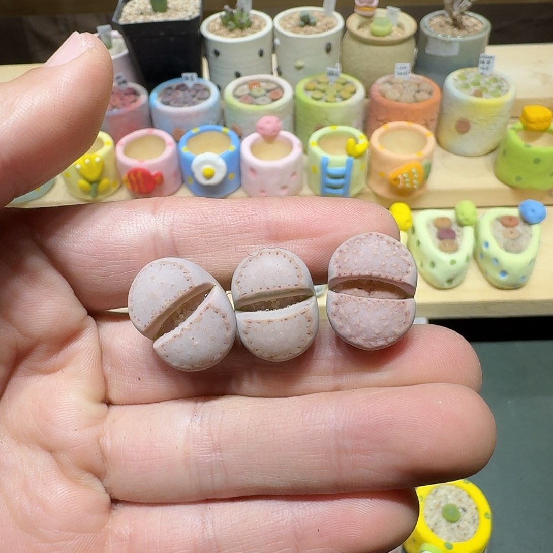 红陶洁*蘑菇353c171饼干