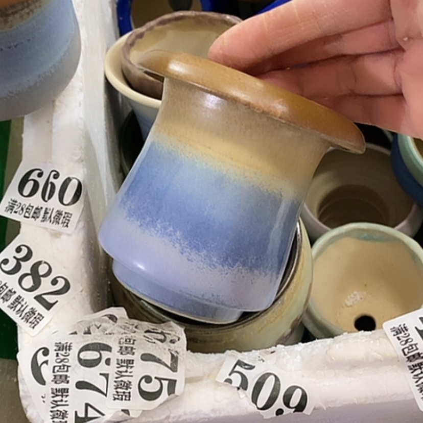 【闪购商品】红陶口8