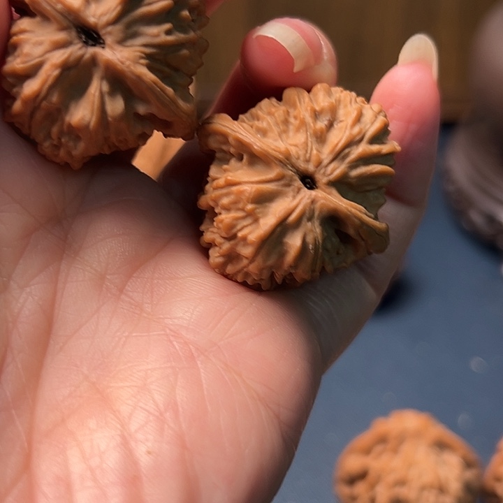 E***S木桃花是春夏季节