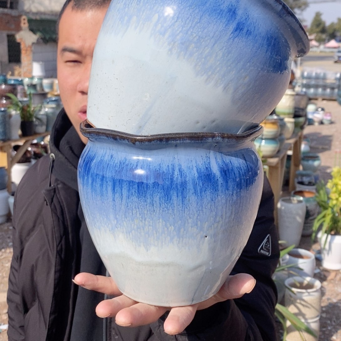 红陶彭于晏0206-1007