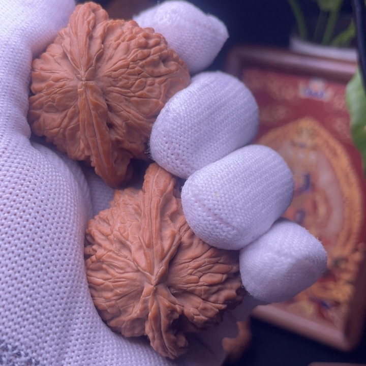 亦***冉全品白狮子 46尺寸