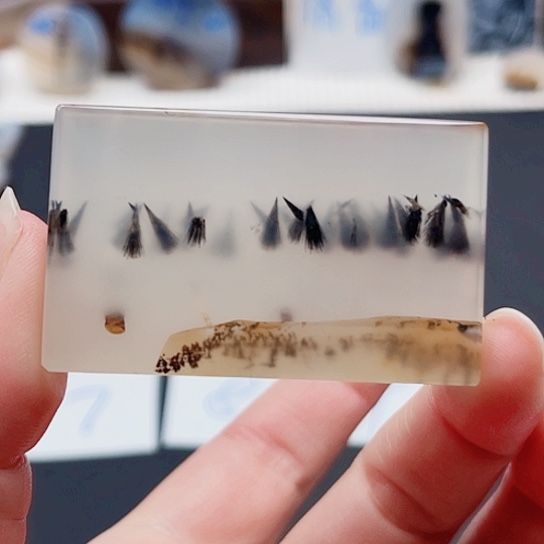 玛瑙/玉髓珠宝奇石未镶嵌