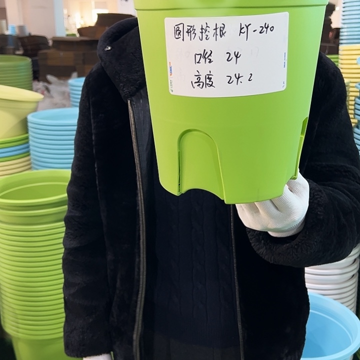 正品圆控口24高24果绿8只无托