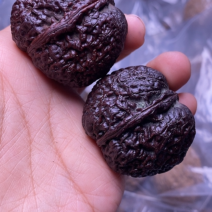 文玩核桃把件  170