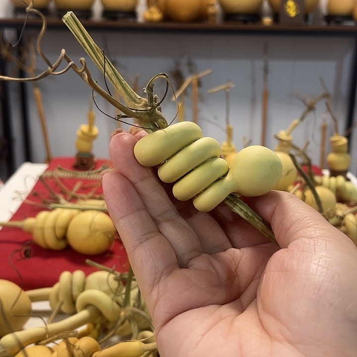 大叶紫檀（黑酸枝木类）A****云