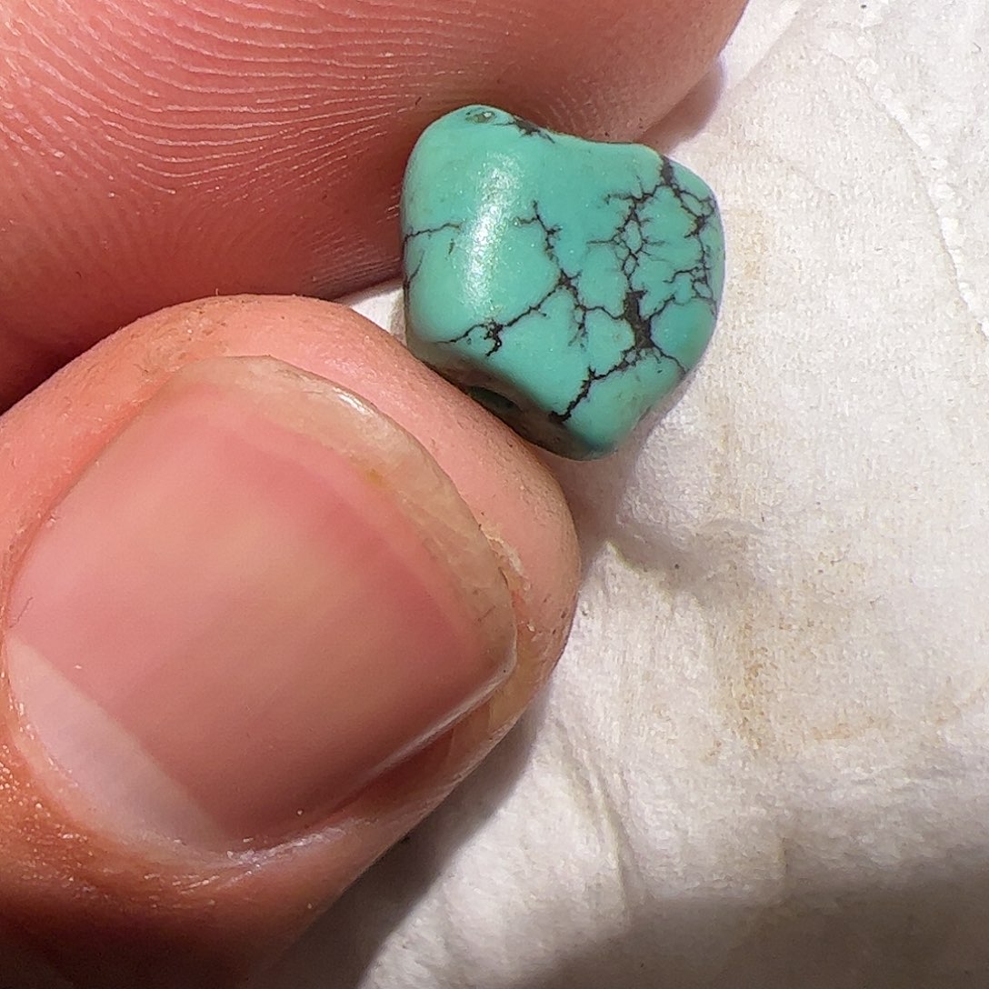 香榧木你的时候你