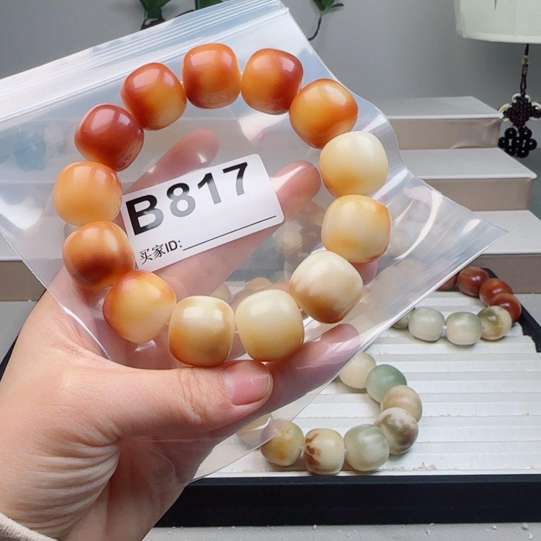 菩提根/象牙果吊坠菩提2.08