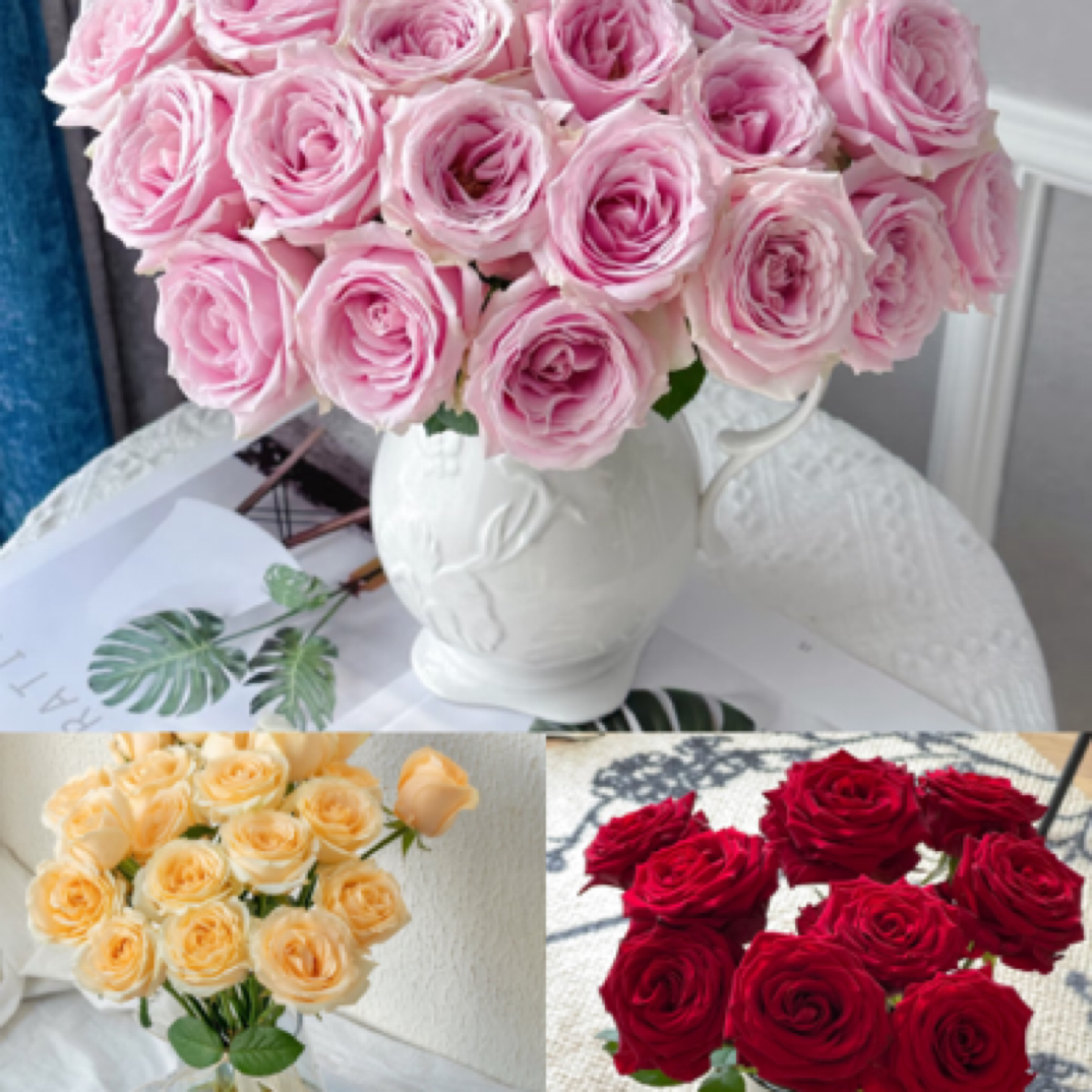 【3色福利组合】娜欧米➕粉红➕蜜桃（合并购物车付款两单包邮发顺丰）