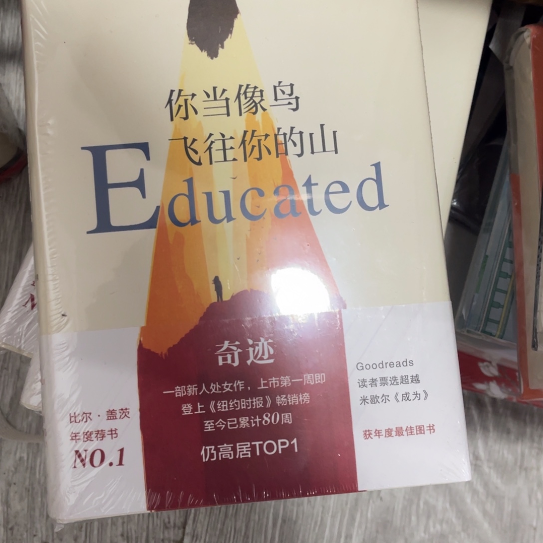 你当像鸟飞往你的山