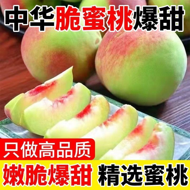 北方蜜桃山东桃正宗蜜桃硬桃应季产地直发桃子水蜜桃水果