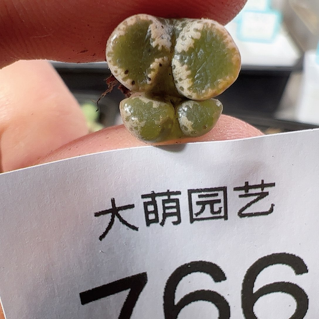 0000766 一物一拍……