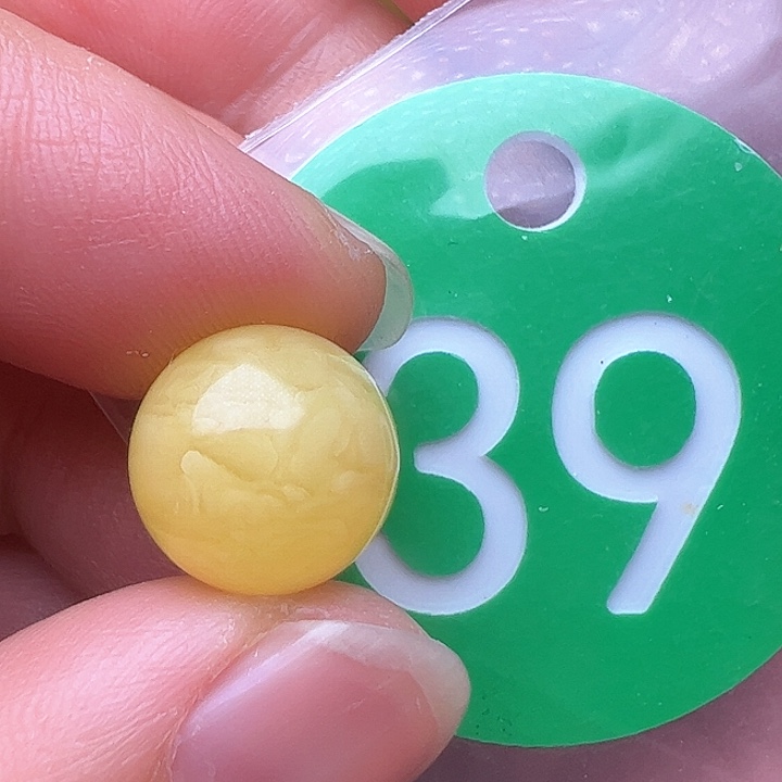 蜜蜡裸石未镶嵌11.6m m