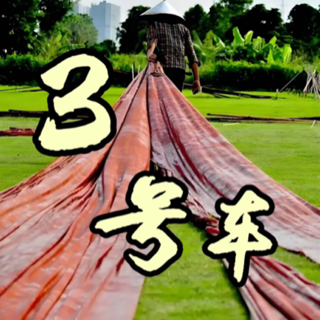 3号专拍链接 一百桑蚕丝