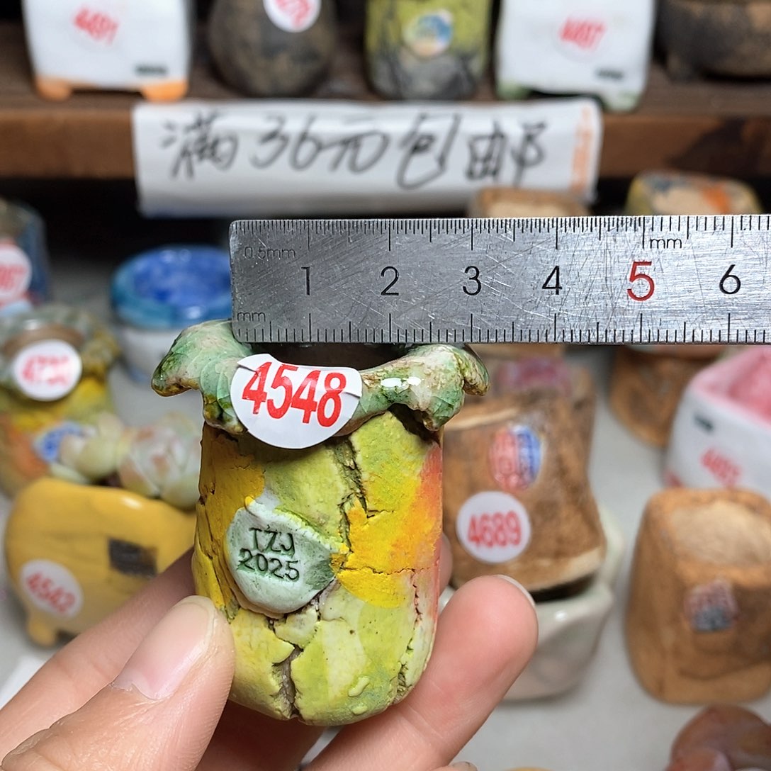 红陶拍5送一个小