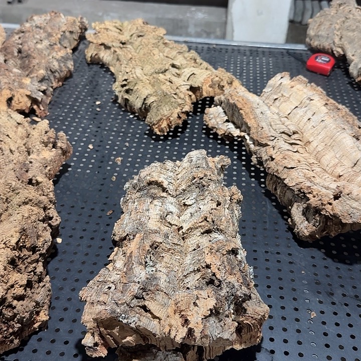 s***z无花朵一物一拍一物一发