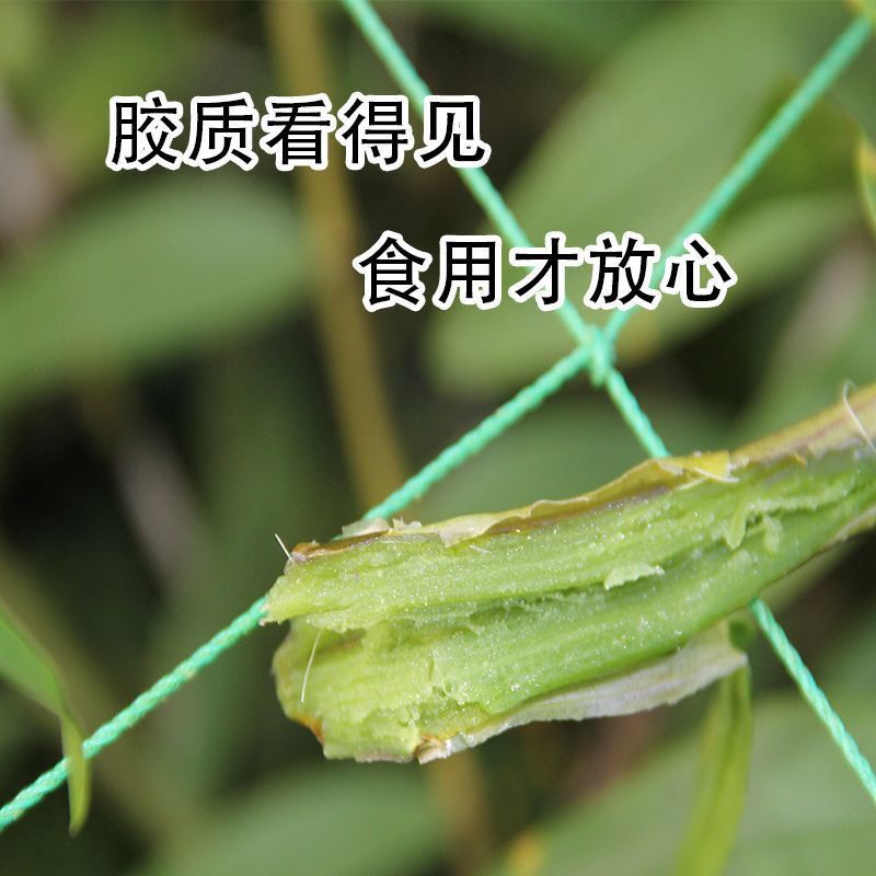 云南林下养殖紫皮石斛鲜条可煲汤榨汁泡酒煲粥生吃