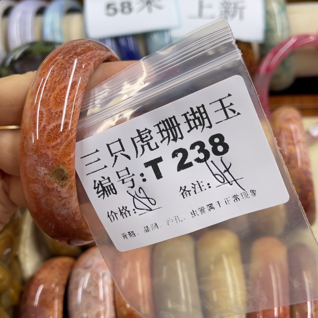 婉***儿硅化珊瑚（珊瑚玉）未镶嵌h