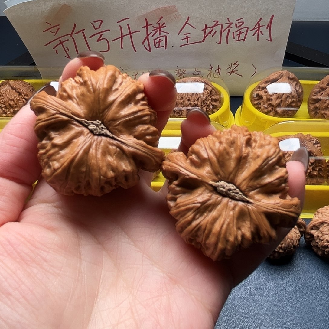 核桃47尺寸白狮子