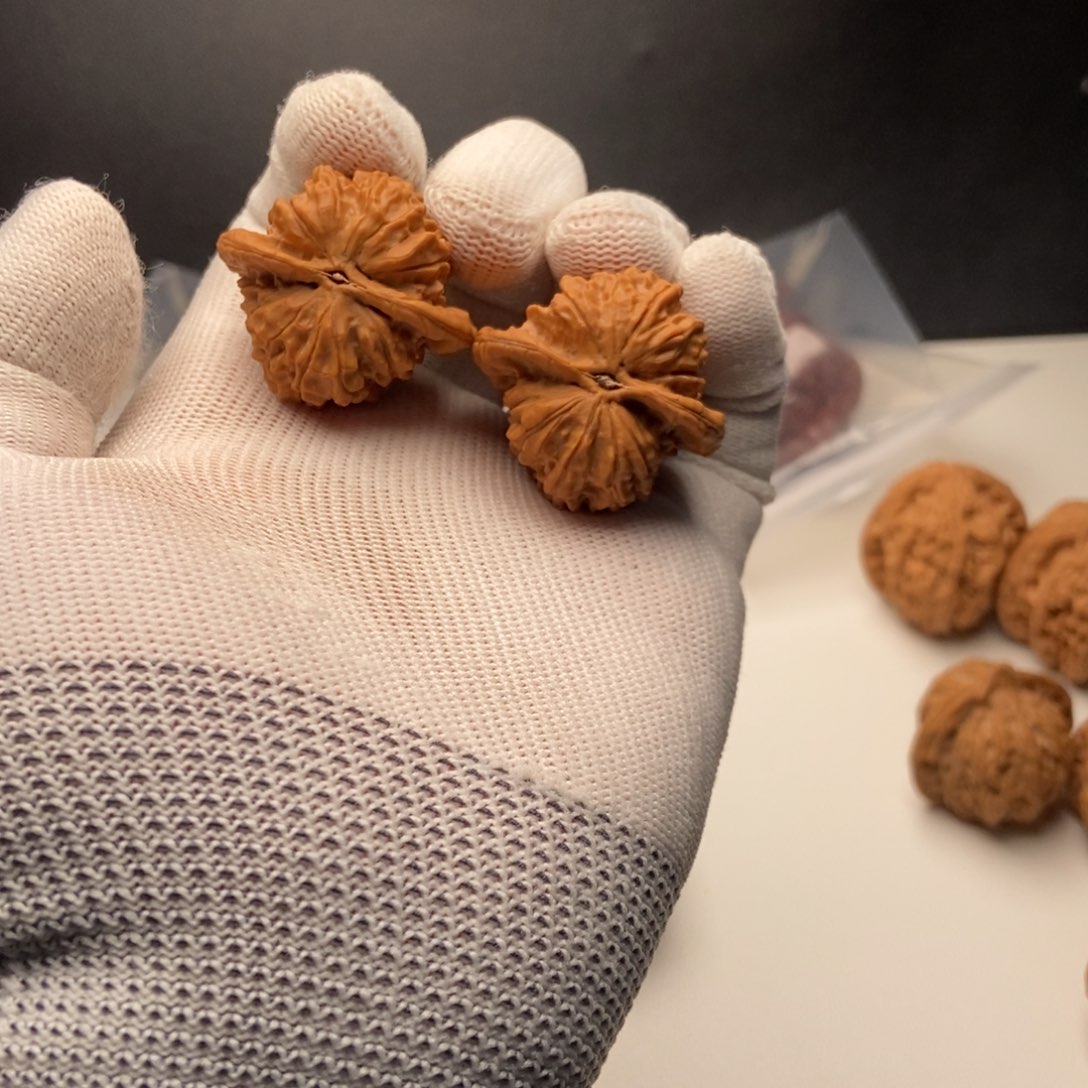 文玩核桃把件包**象朱雀