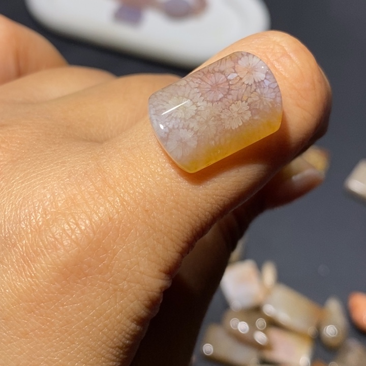 【闪购商品】未镶嵌珊瑚玉硅化玉