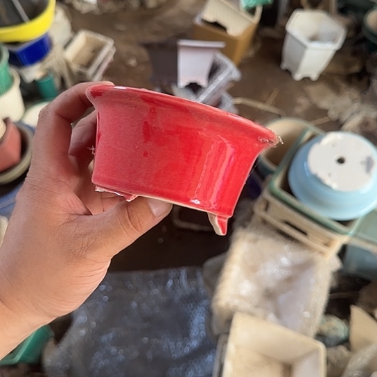 一哈来我这儿吃饭啊亲爱的媳妇