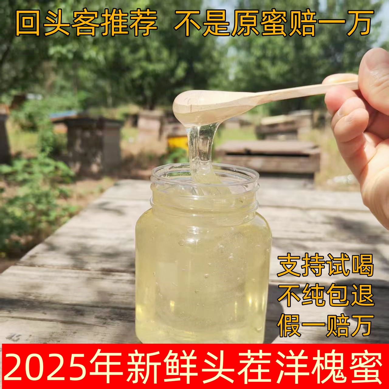 【洋槐蜜5斤】2025年新鲜洋槐蜜 新蜜槐花蜂蜜农家自产自销