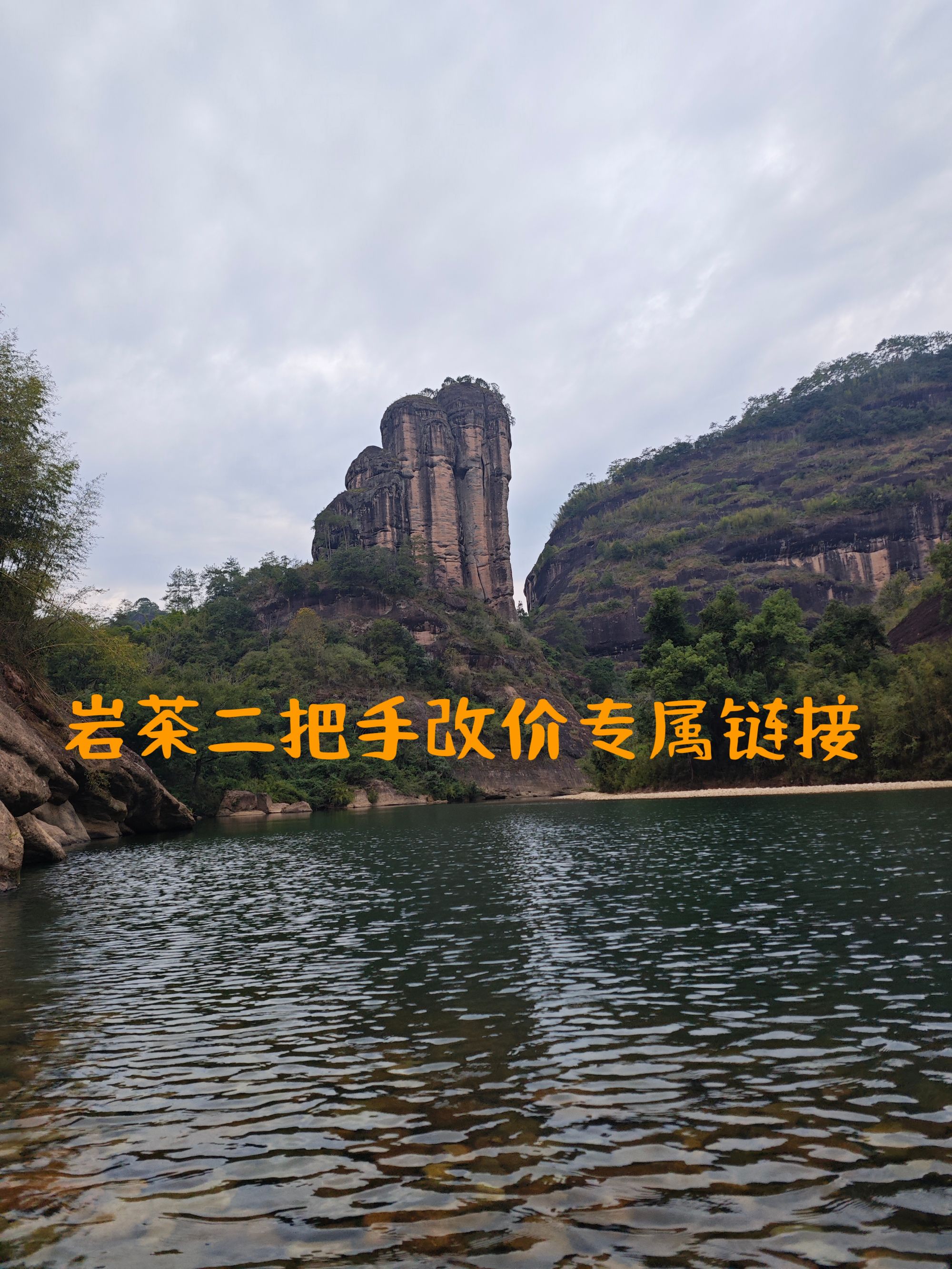 岩茶二把手直播专属改价链接3