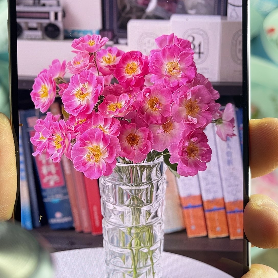 全部花苞青幕谷（风韶）一扎