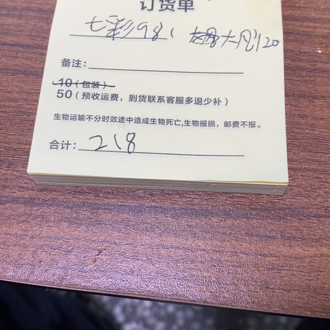 海水鱼七彩一个大帆一个