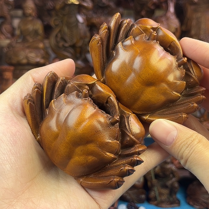 黄杨木小叶黄杨木