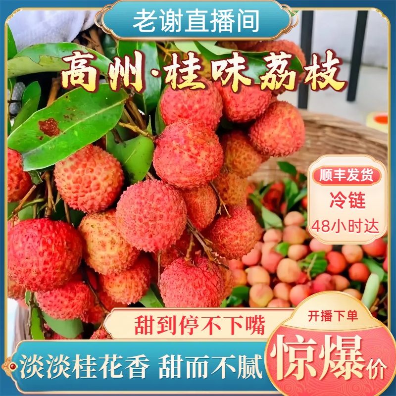 【顺丰冷链】到家茂名高州桂味荔枝头茬新鲜现摘核小肉厚香甜当季