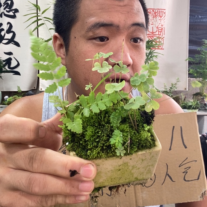 无花朵退款拉黑拉黑 6