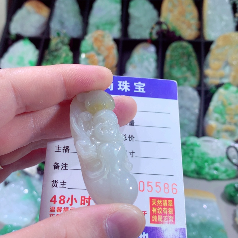 【闪购商品】翡翠颈饰未镶嵌挂件