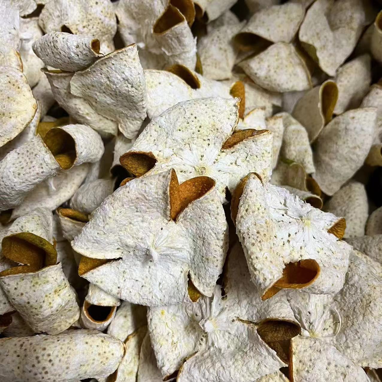 【折花高货】2024年天马圈枝大红皮折花阳光生晒新皮