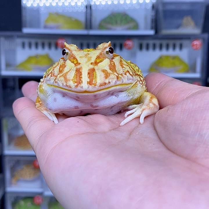 特价秒杀现货供应