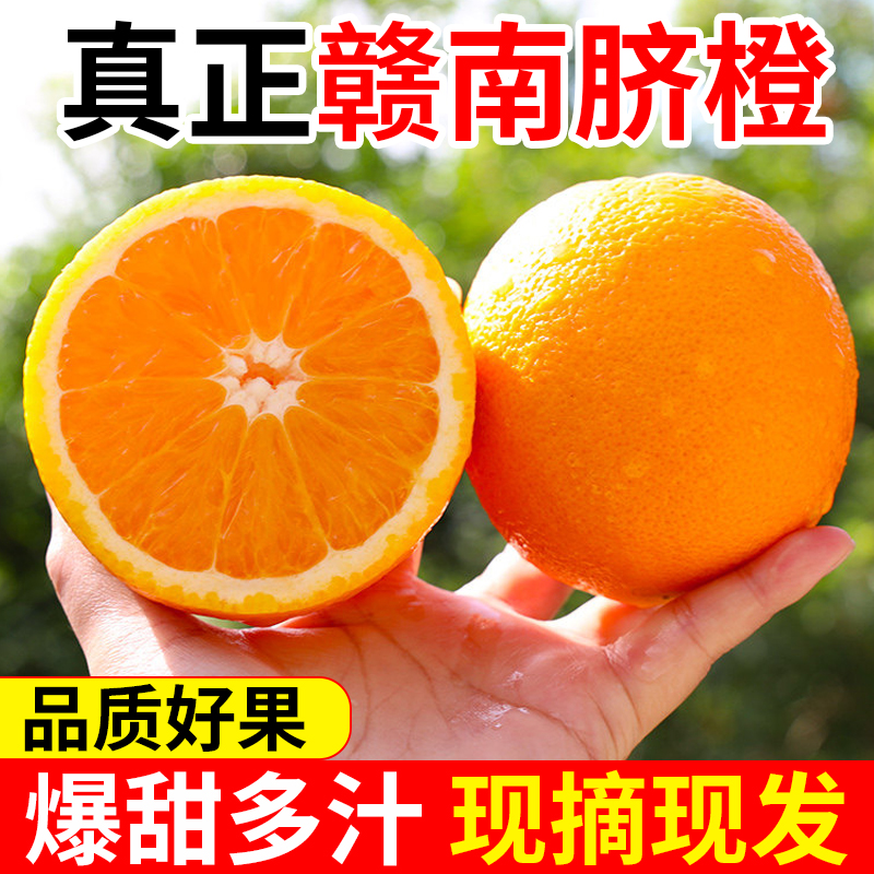 赣南脐橙正宗江西脐橙产地直发水果甜橙子