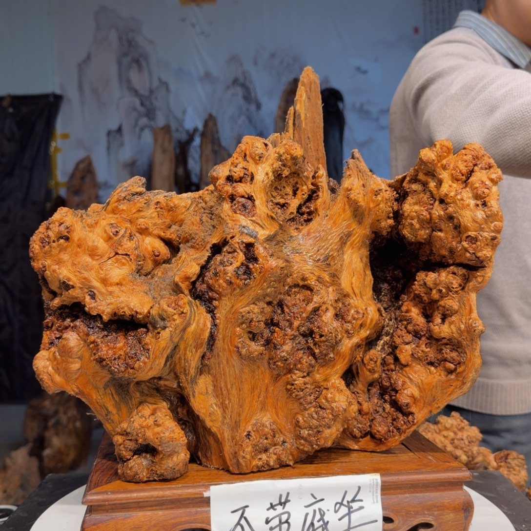 *****木三丰琥珀木 天然摆件13