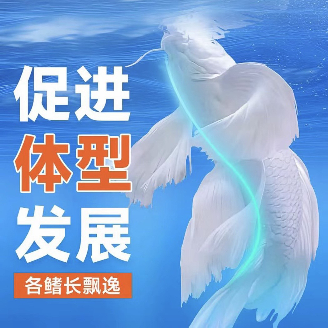 蝴蝶鲤观赏鱼专用鱼粮饲料高蛋白不浑水增色发鳍发尾