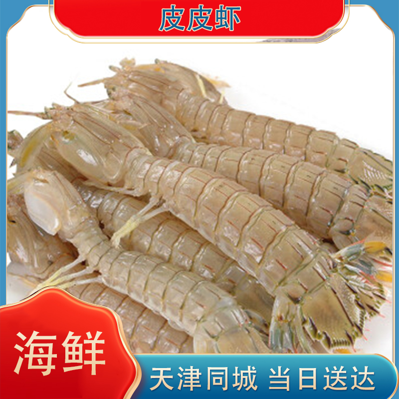 本地皮皮虾 【保鲜不保活】 天津同城当天达