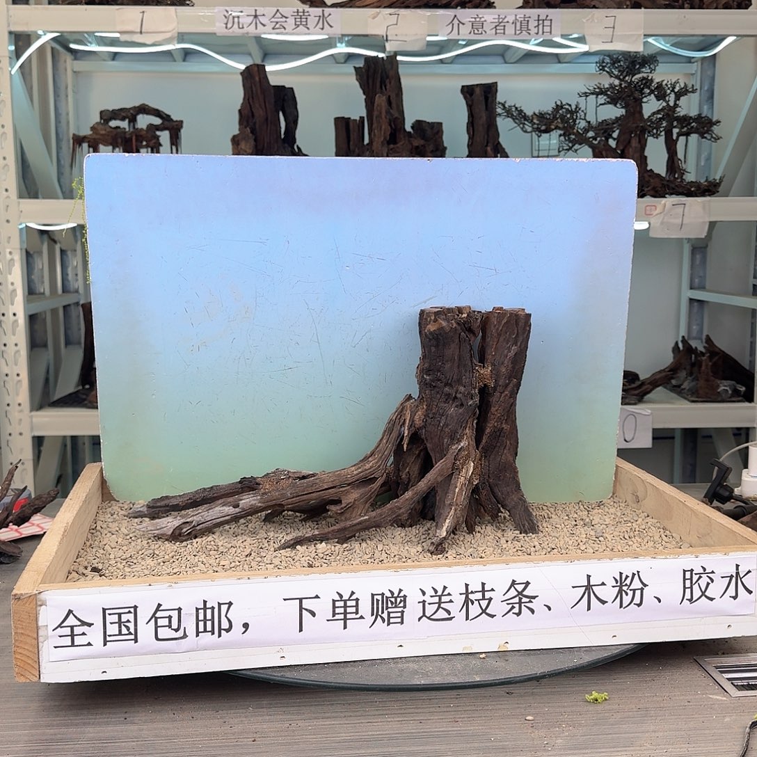 鱼缸造景 鱼缸造景