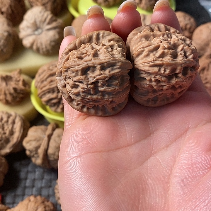 R****d40全品白狮子无修无修无修