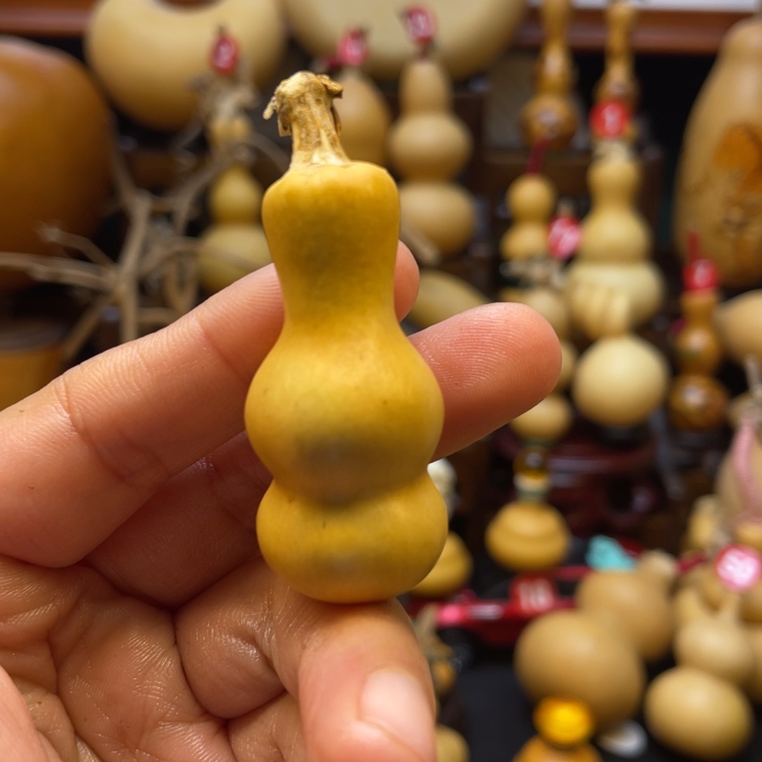 夜**望葫芦等多种颜色可供选择使用哦宝宝