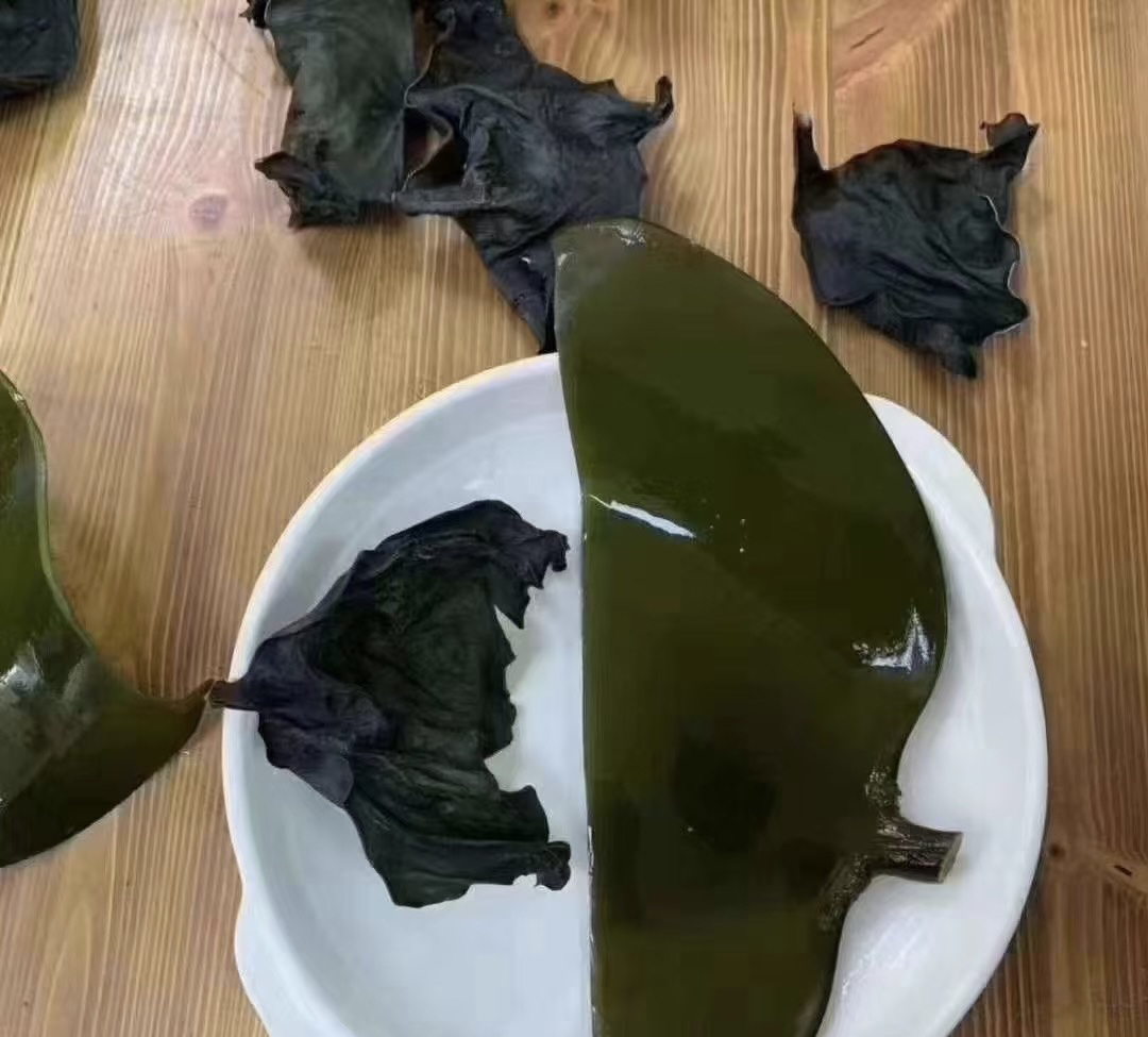 精选特厚海带头 炖汤  煮糖水  凉拌