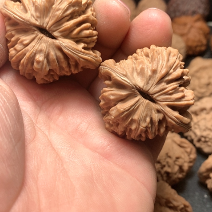 【闪购商品】玉*四座楼