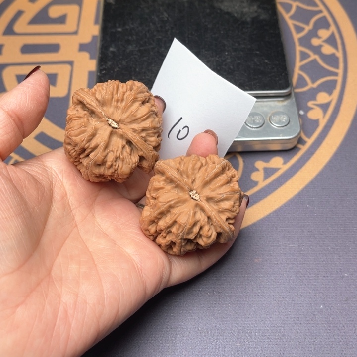 文玩核桃把件43大粗筋