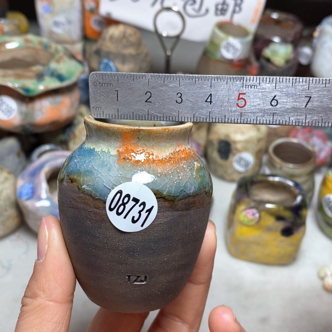 花盆拍5送一个小礼物